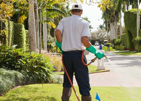 About Palm Springs CA Pest Control